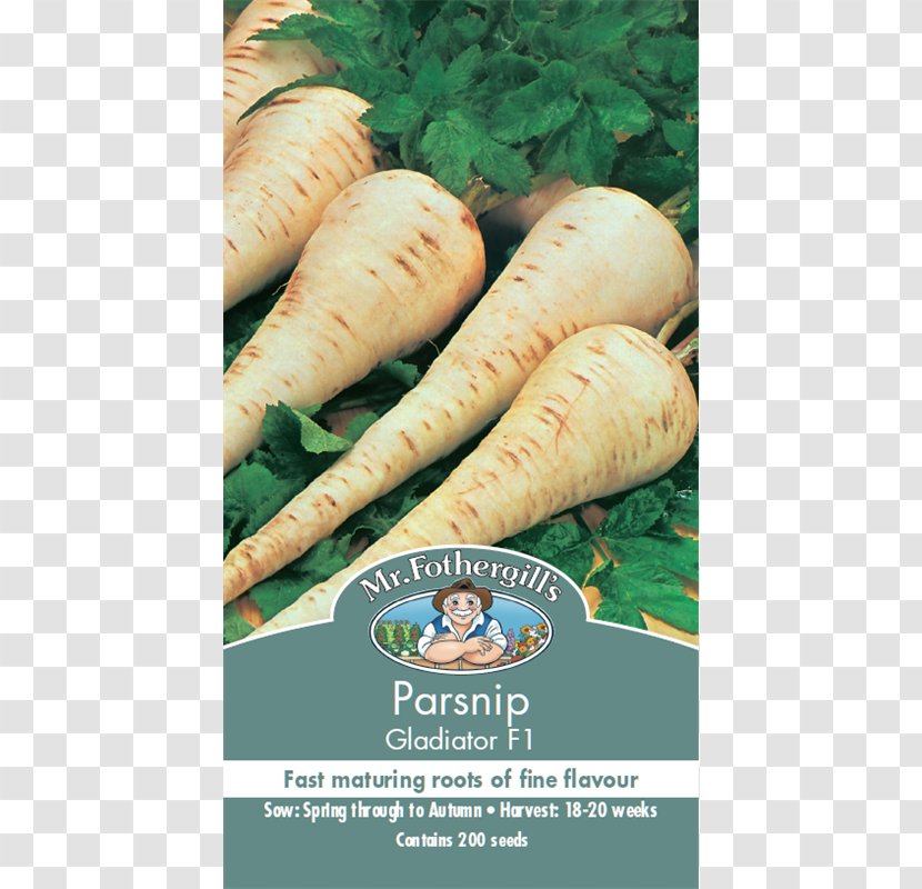 Parsnip Carrot Pomodoro Costoluto Fiorentino Root Seed - Food Transparent PNG