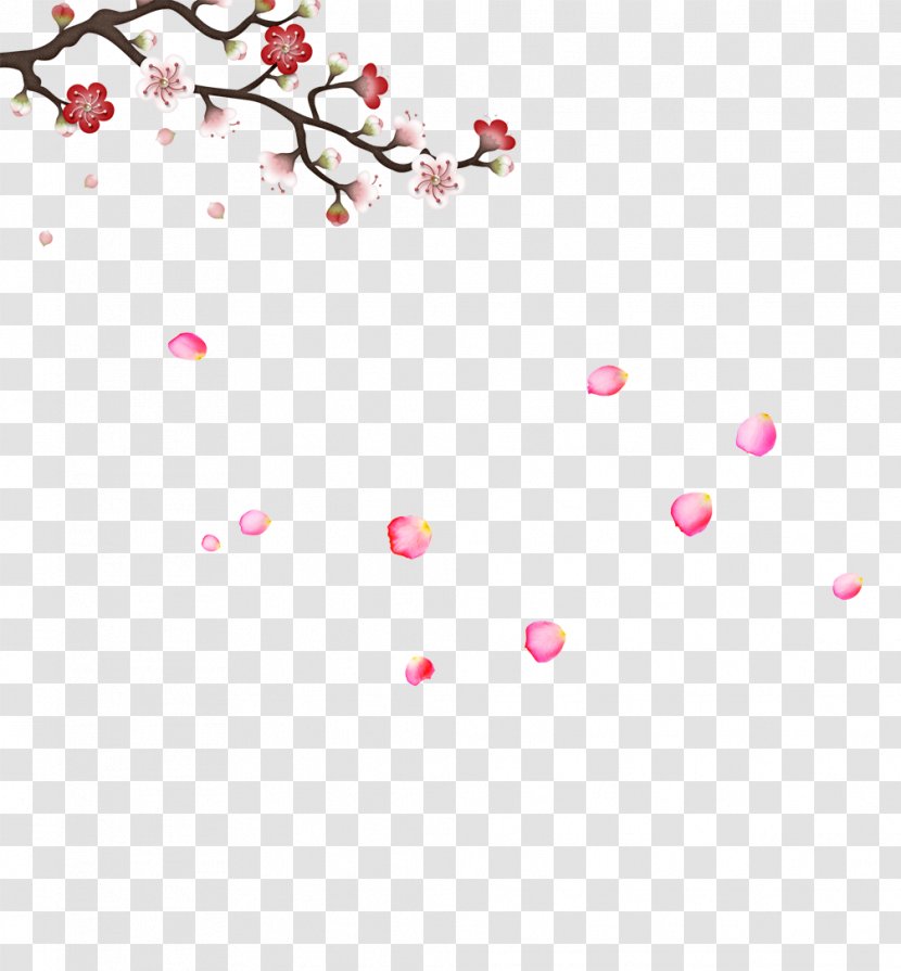 Plum Blossom Graphic Design - Bloom Transparent PNG