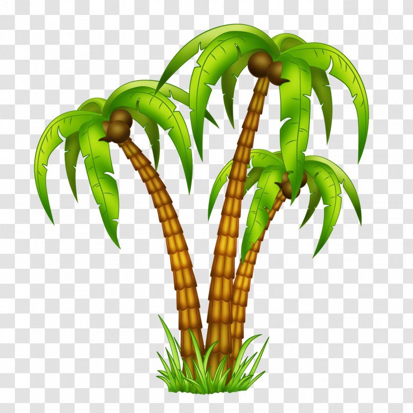 Drawing Tropics Arecaceae - Tree - Pirate Transparent PNG