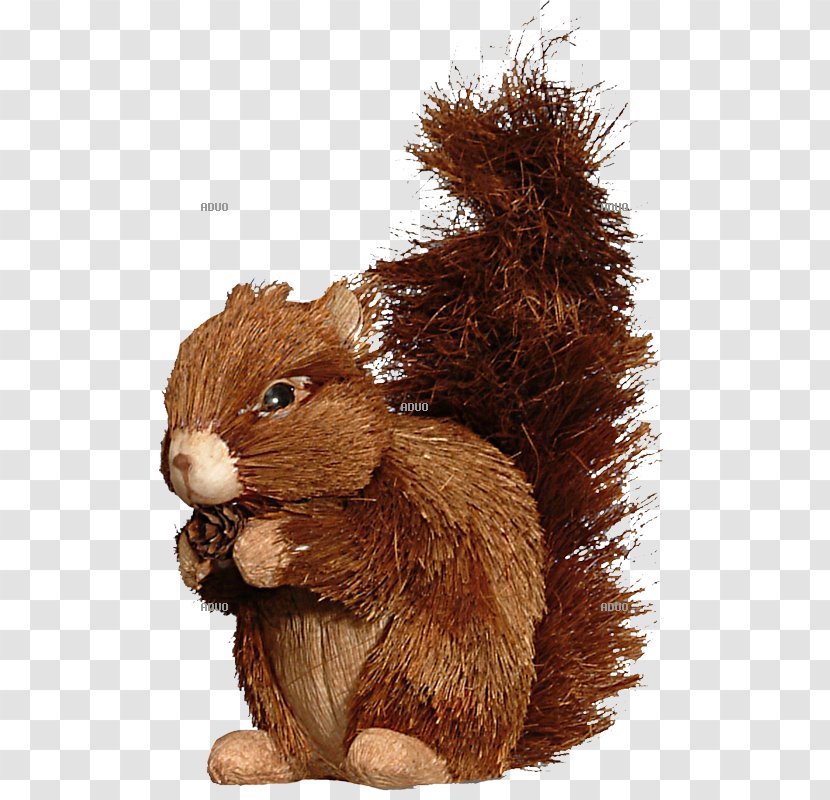 Red Squirrel Rodent Tree Animal - Autumn Leaf Color Transparent PNG