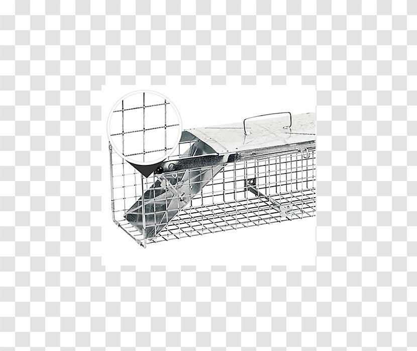 Trapping Cage European Rabbit Fish Trap - Animal - Mouse Transparent PNG