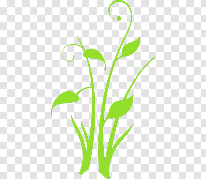 Flower Art Watercolor - Branching - Pedicel Plant Transparent PNG