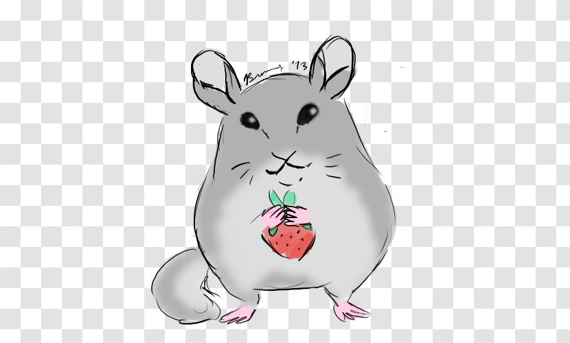 Hamster Background - Whiskers - Pest Muroidea Transparent PNG