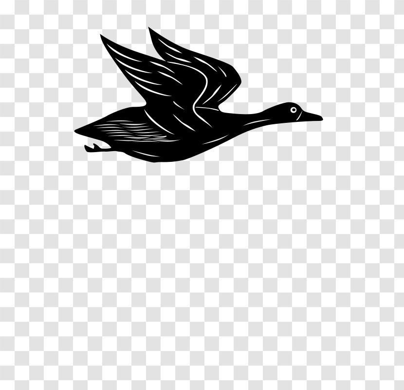 Goose Duck Drawing Clip Art - Bird - DUCK FLYING Transparent PNG