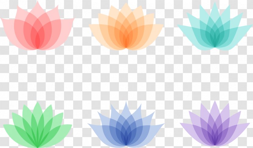 Flower Photography Icon - Logo - Color Lotus Transparent PNG