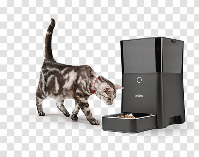 Dog Cat Food Pet Eating - Internet Of Things Transparent PNG