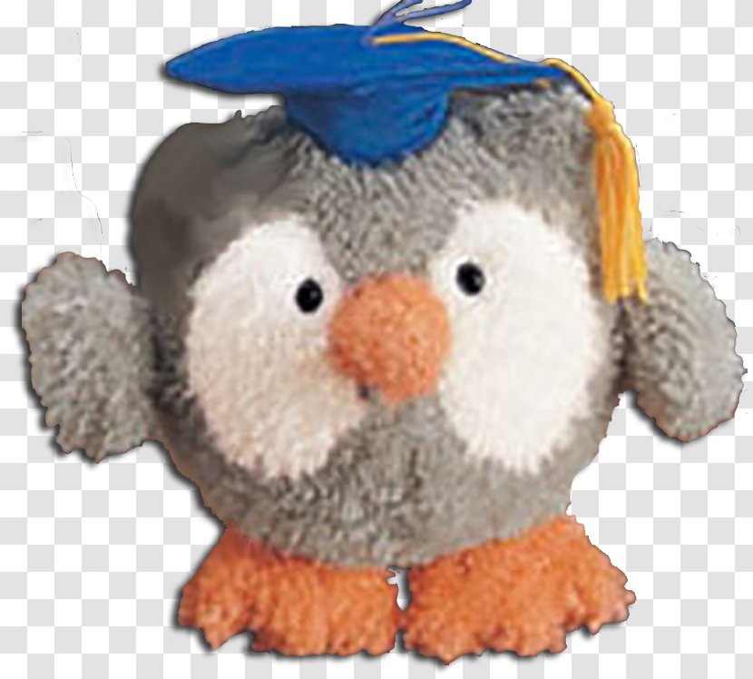 Stuffed Animals & Cuddly Toys Owl Bird Beak Graduation Ceremony - Pomp And Circumstance Marches Transparent PNG