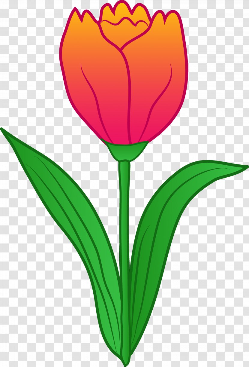 Tulip Free Content Flower Clip Art - Seed Plant - Cartoon Cliparts Transparent PNG
