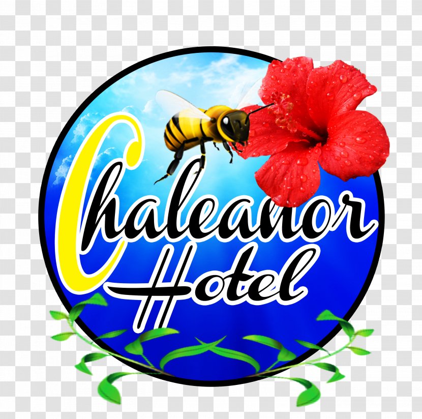 Clip Art Food Cut Flowers Logo Rosemallows - Half Moon Caye Transparent PNG