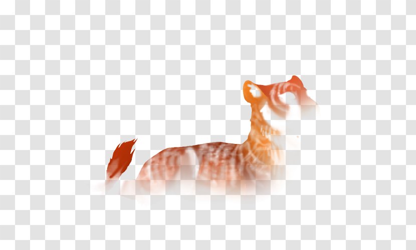 Whiskers Kitten Tabby Cat Paw Transparent PNG