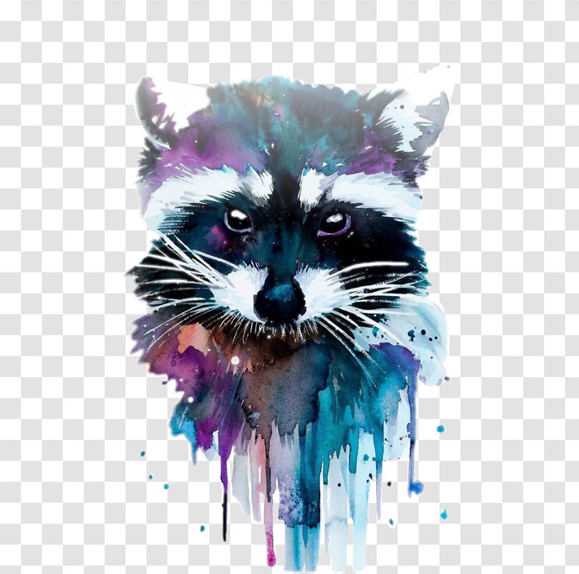 Raccoon Watercolor Painting Art Canvas Print - Paint Transparent PNG