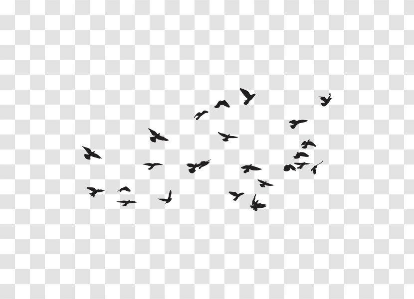 Bird Flock Royalty-free - Sky Transparent PNG