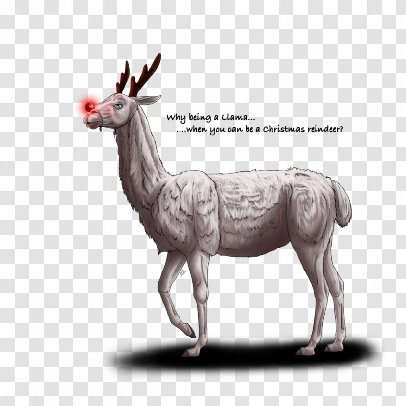 Reindeer Elk Antler Fauna Wildlife Transparent PNG