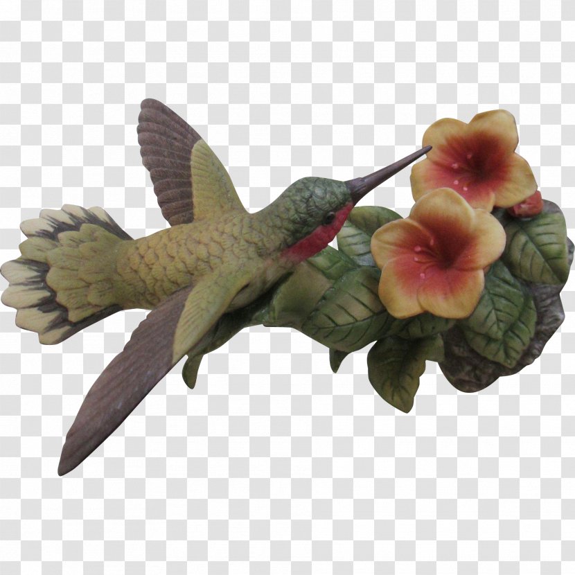 Hummingbird Beak Fauna Pollinator - Ruby Transparent PNG