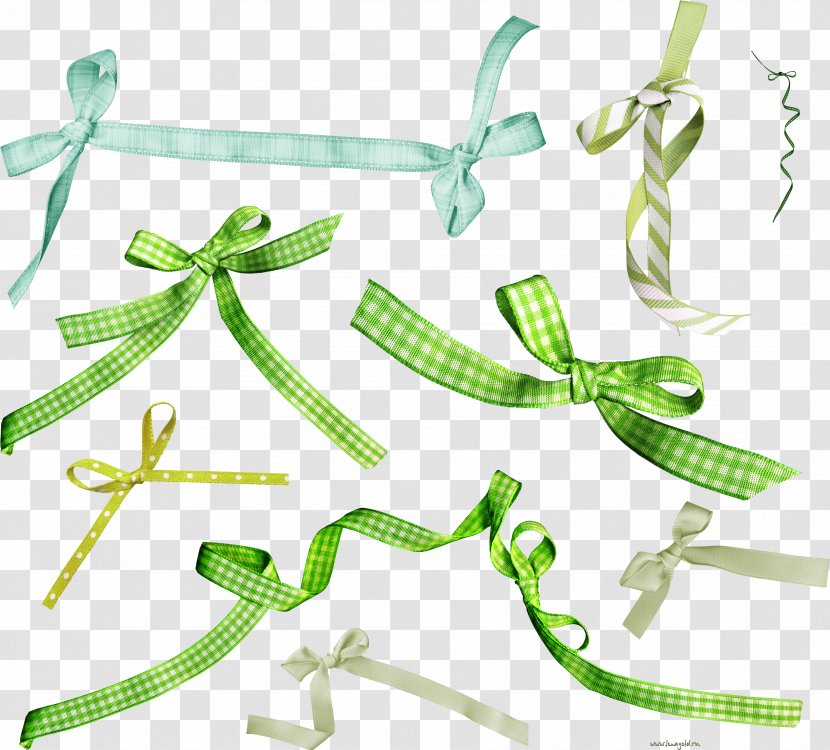 Clothing Accessories Fashion Clip Art - Accessory Transparent PNG