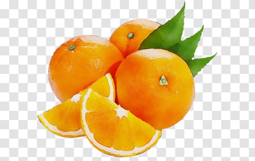 Orange - Mandarin - Rangpur Transparent PNG