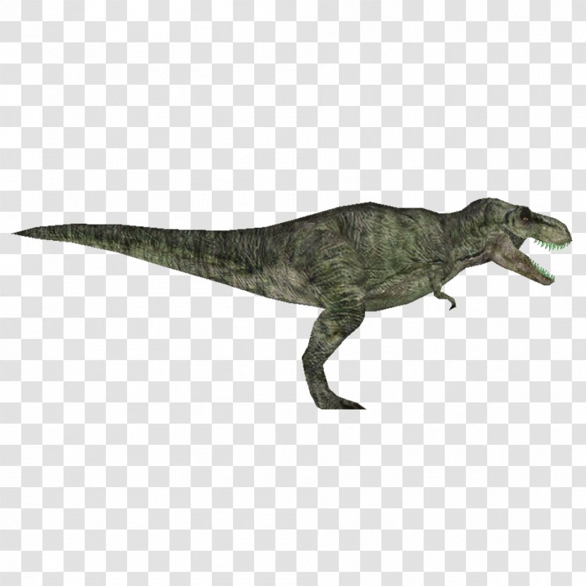 Zoo Tycoon 2 Tyrannosaurus Velociraptor Dilophosaurus Spinosaurus - Wikia - Jurassic Park Transparent PNG