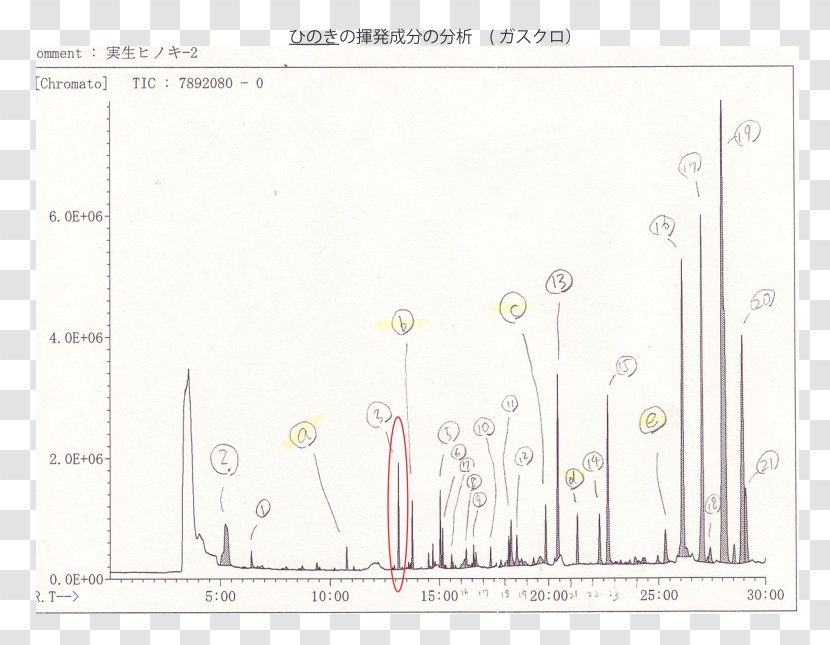 Document Drawing Line /m/02csf - Area Transparent PNG