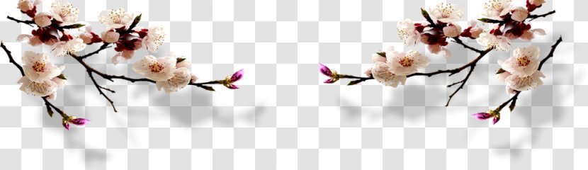 Plum Blossom Ink Transparent PNG