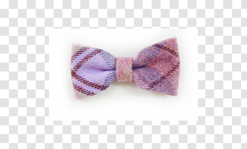 Bow Tie Salish Wool Dog Shetland Sheep The New Puppy - Hair Transparent PNG