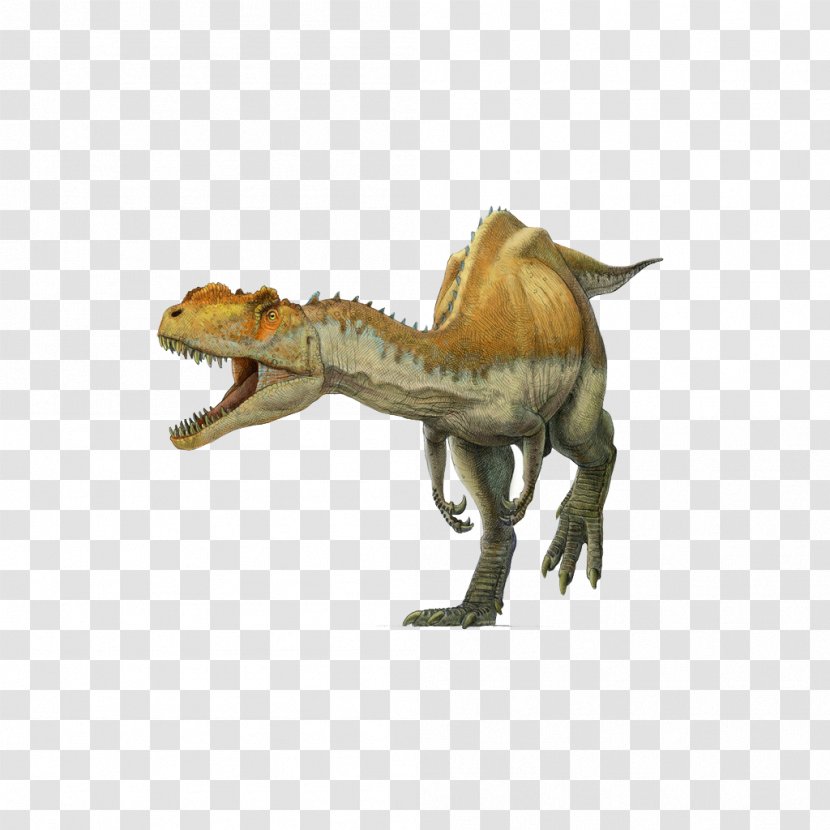 Yangchuanosaurus Tyrannosaurus Spinosaurus Metriacanthosaurus Oxfordian - Velociraptor - Cartoon Dinosaur Transparent PNG