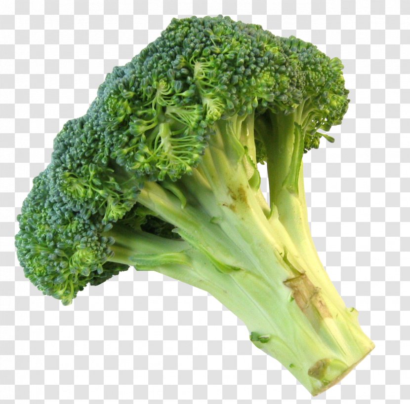 Broccoli Slaw Vegetable Food - Fresh Transparent PNG