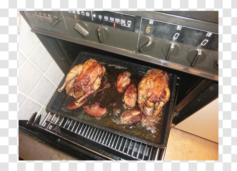 Barbecue Grilling Rotisserie Kitchen Home Appliance Transparent PNG