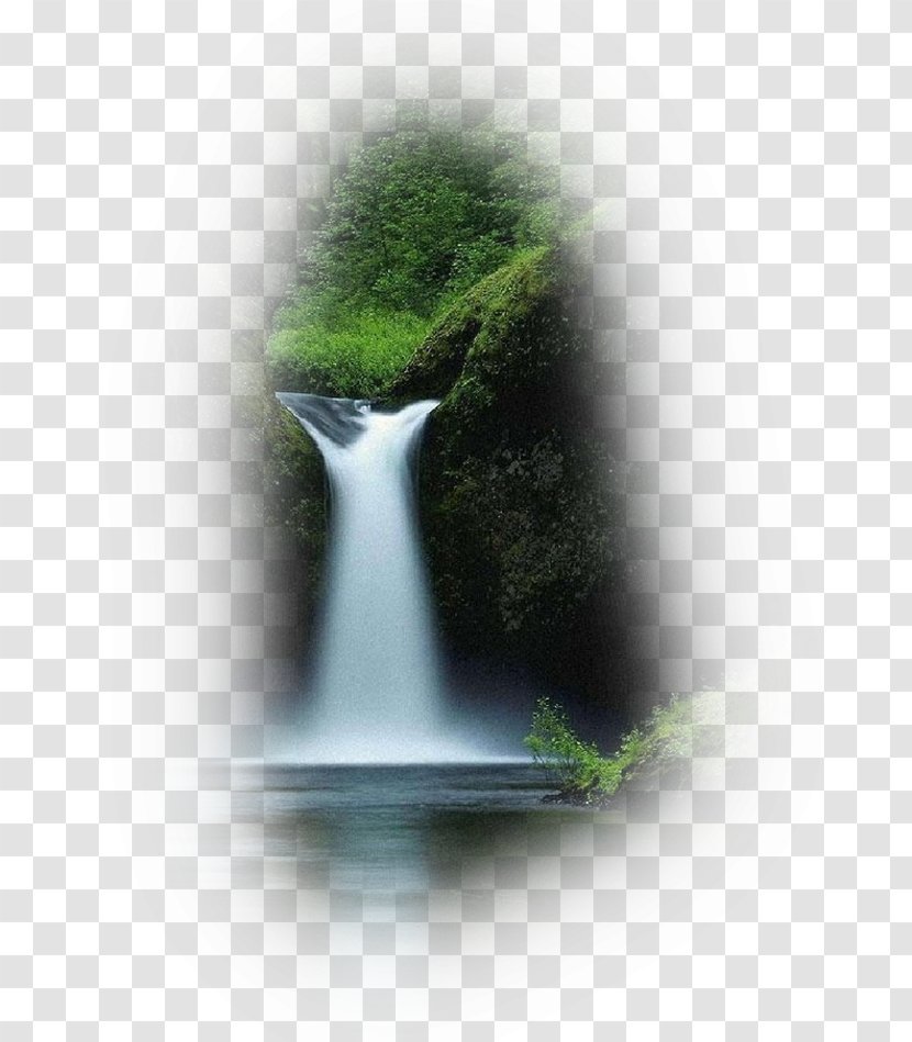 Desktop Wallpaper Water Energy Stock Photography - Grass Transparent PNG