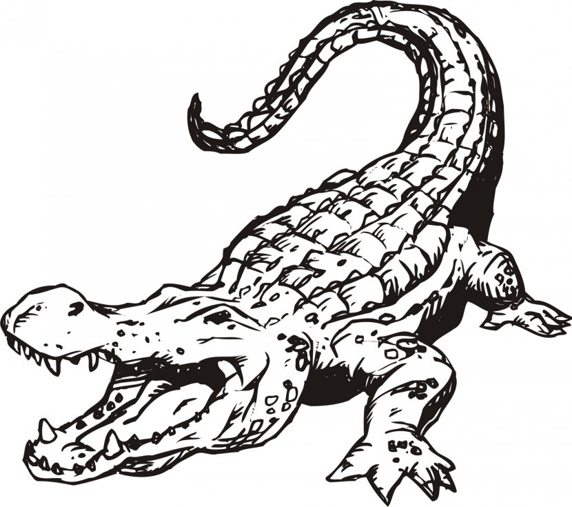 Alligator Crocodile Black And White Clip Art - Fictional Character - Bear Mascot Clipart Transparent PNG