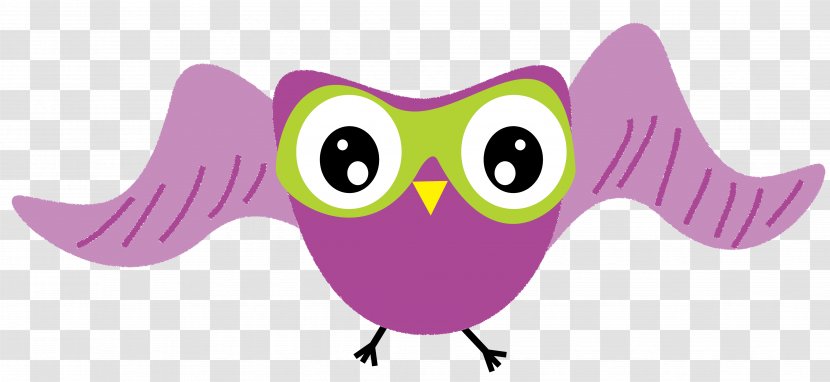 Owl TeachersPayTeachers Homeschooling Clip Art - Vertebrate Transparent PNG