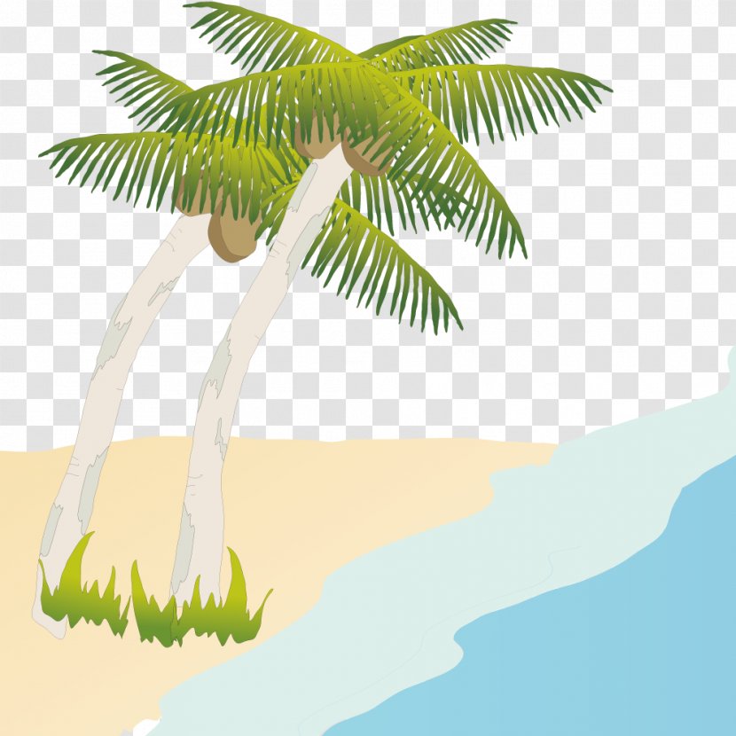 Coconut Beach Illustration - Tree On The Transparent PNG