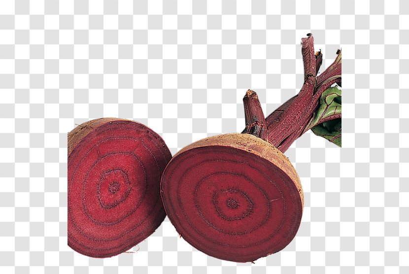 BBC Gardeners' World Wood Beetroot Sowing Transparent PNG