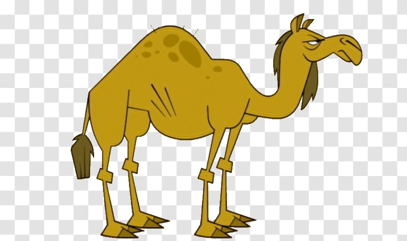 Chef Hatchet Drawing Camel Total Drama World Tour - Art - Season 3Camel Transparent PNG