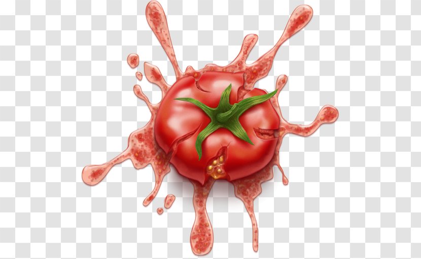 Clip Art Pizza Tomato Sauce Vegetable - Organism Transparent PNG