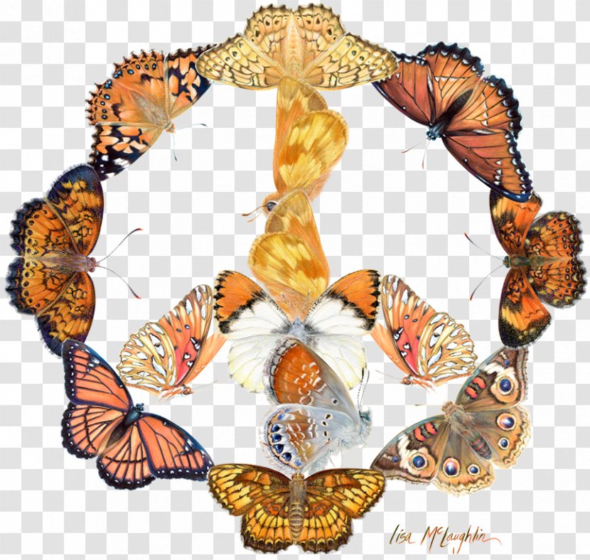 Monarch Butterfly Brush-footed Butterflies Insect - Invertebrate - Watercolour Transparent PNG