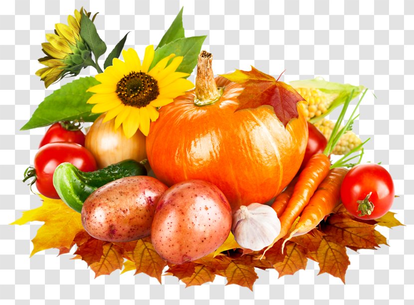 Crop Yield Vegetable Harvest Pumpkin Clip Art - Onion Transparent PNG