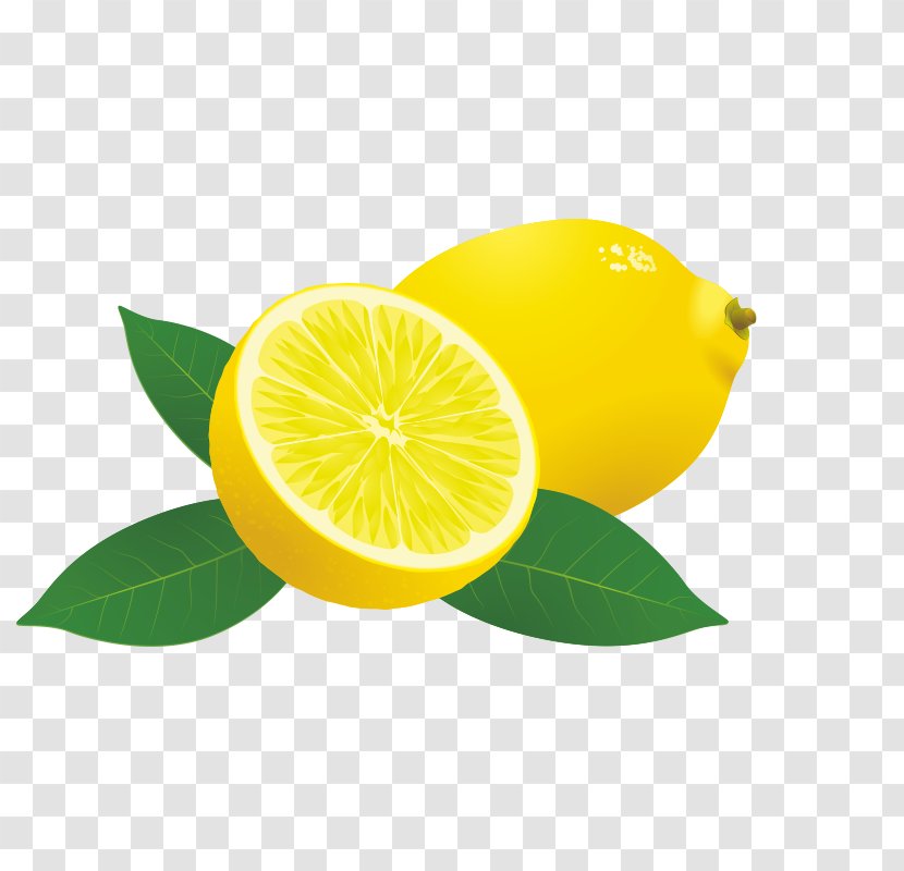 Sweet Lemon Persian Lime Lemon-lime Drink - Cartoon Transparent PNG