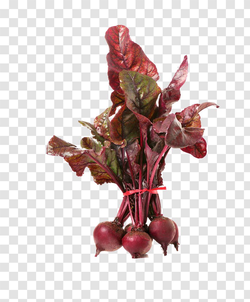 Beetroot Vegetable Common Beet - Royalty Free - A Dish Transparent PNG