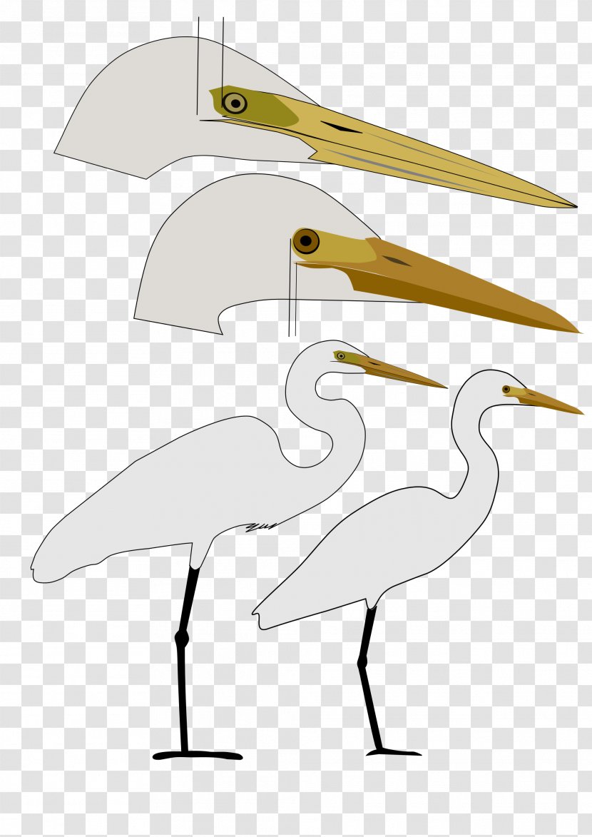 Bird Intermediate Egret Great Little - Crane Transparent PNG