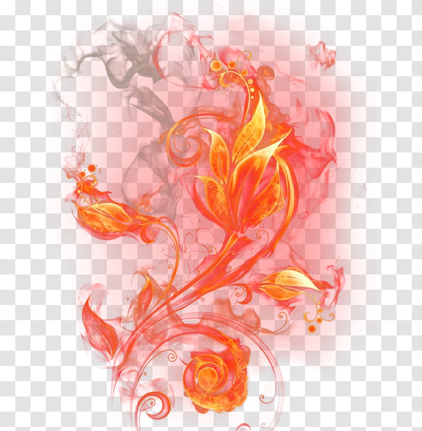 Burning Fire - Flora - Petal Transparent PNG