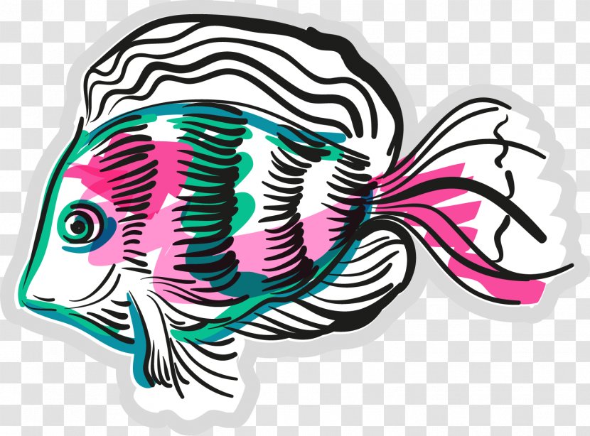 Fish Illustration - Vertebrate - Painted Transparent PNG