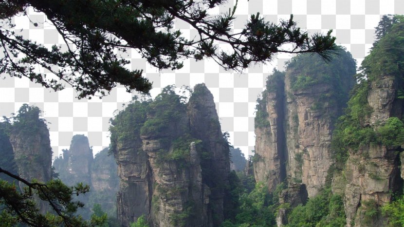 Zhangjiajie National Forest Park Jiuzhaigou U067eu0627u0631u06a9 U062cu0646u06afu0644u06cc Yangtze Wallpaper - Escarpment - Nine Transparent PNG