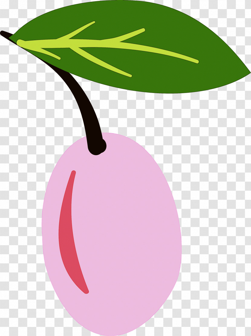 Cactus Transparent PNG