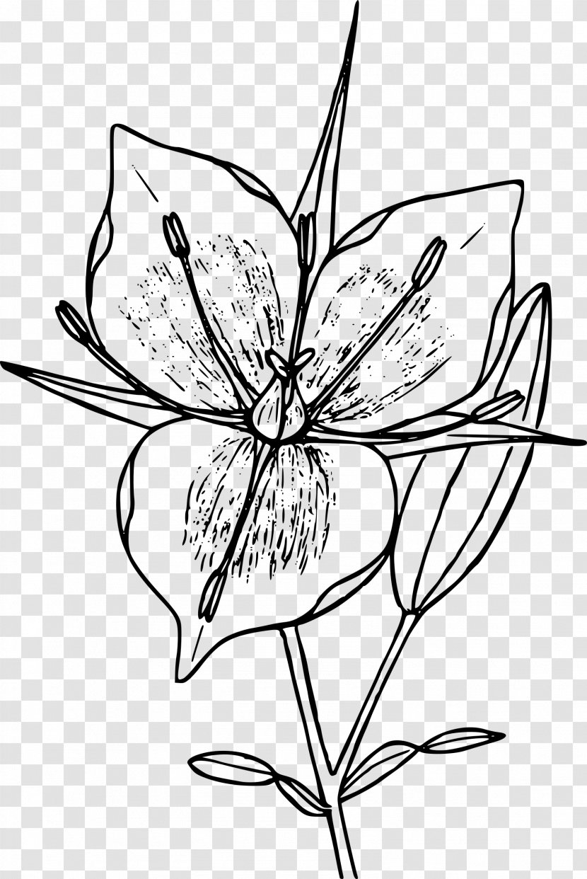 Floral Design Line Art Clip - Cartoon - Flower Transparent PNG