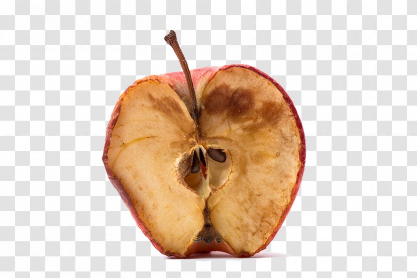 Stock Photography Royalty-free Apple Transparent PNG