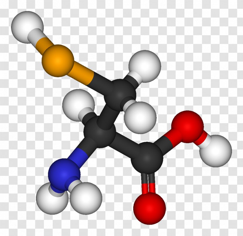 Essential Amino Acid Dicarboxylic Diprotic - Adipic - Balls Transparent PNG