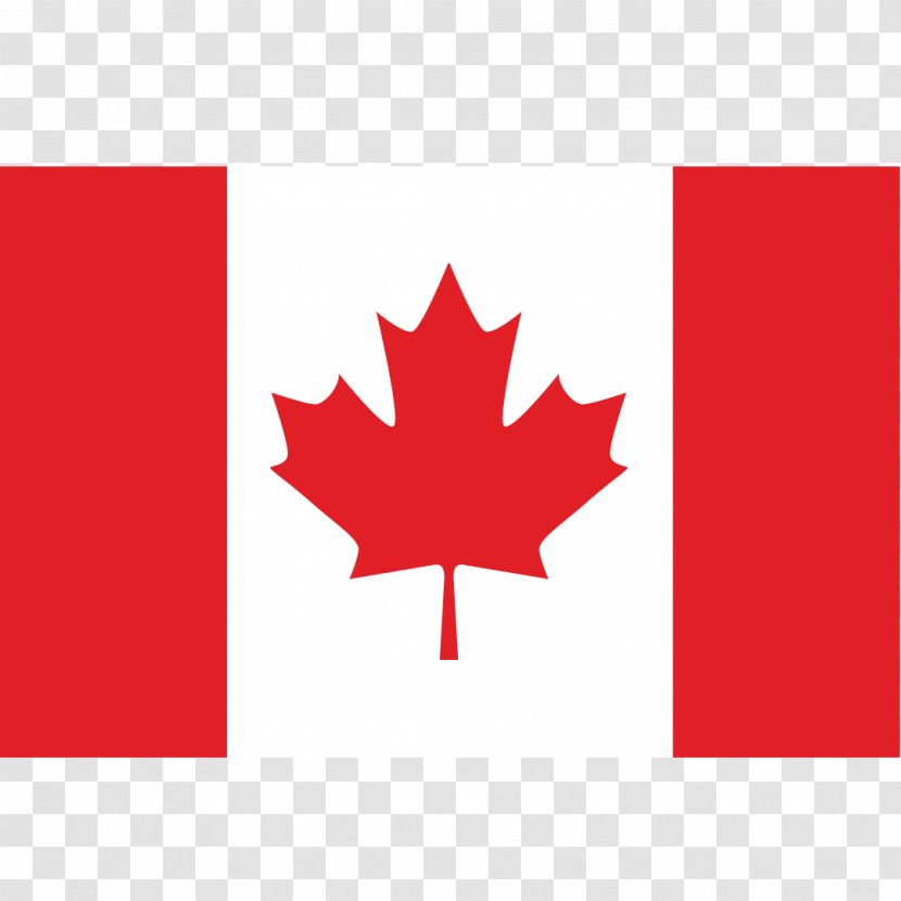 Flag Of Canada - Flowering Plant Transparent PNG
