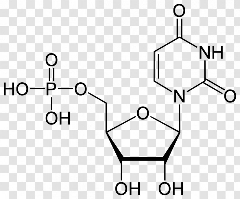 Deoxyuridine Monophosphate Nucleotide Nucleic Acid - Tree - Flower Transparent PNG