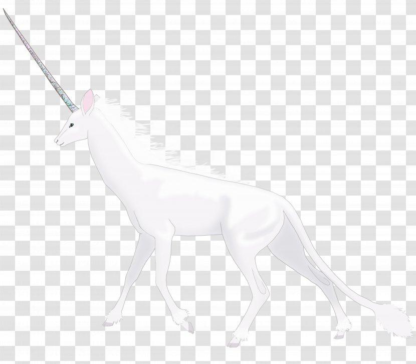 Macropodidae Deer White Drawing Mammal - Animal - Unicorn Horn Transparent PNG