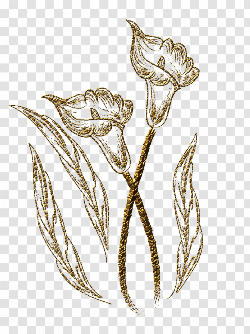 Drawing Flower 鉛筆画 - Commodity Transparent PNG